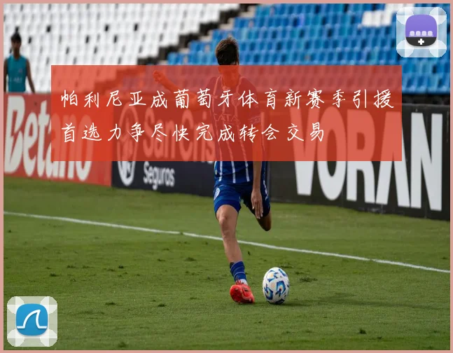 帕利尼亚成葡萄牙体育新赛季引援首选力争尽快完成转会交易