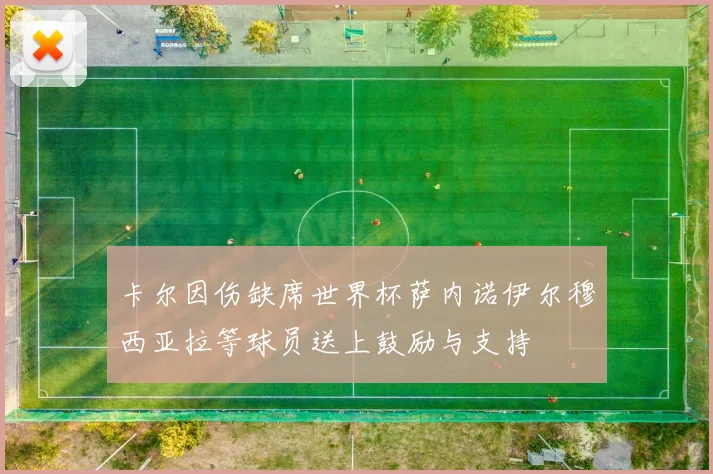 卡尔因伤缺席世界杯萨内诺伊尔穆西亚拉等球员送上鼓励与支持