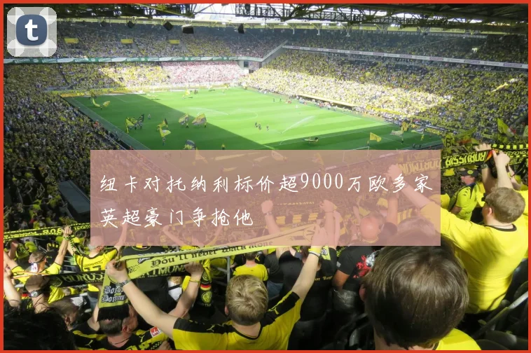 纽卡对托纳利标价超9000万欧多家英超豪门争抢他